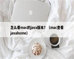 怎么看mac的java版本？（mac查看javahome）