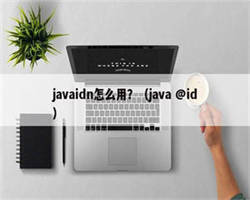 javaidn怎么用？（java @id）