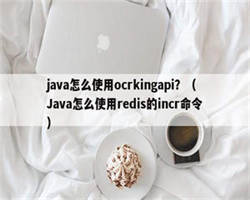 java怎么使用ocrkingapi？（Java怎么使用redis的incr命令）