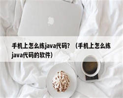 手机上怎么练java代码？（手机上怎么练java代码的软件）