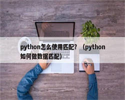 python怎么使用匹配？（python如何做数据匹配）