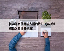 java怎么使用输入后的数？（java如何输入数据并使用）