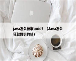 java怎么获取uuid？（Java怎么获取数组的值）