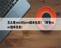 怎么看mac的java版本信息？（查看mac版本信息）