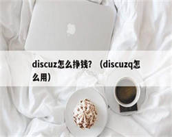 discuz怎么挣钱？（discuzq怎么用）