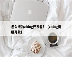 怎么成为zblog开发者？（zblog模板开发）