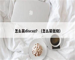 怎么装discuz？（怎么装低烧）