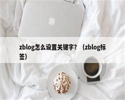 zblog怎么设置关键字？（zblog标签）