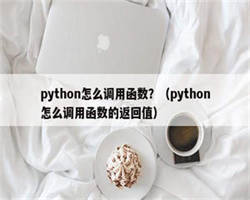 python怎么调用函数？（python怎么调用函数的返回值）